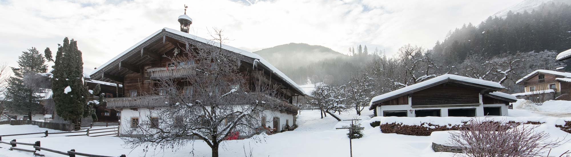 Ferienbauernhof Niedernsill Winter